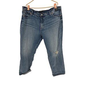 Silver Jeans Plus Size 24W x 27 Jeans 90's Boyfriend High Rise Straight Leg NWT